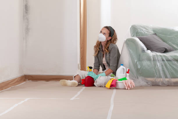 Reliable Mold Removal contractor in South Hamilton, MA by WQB Mold Removal